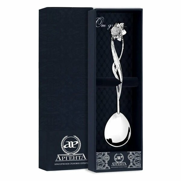 Серебряная ложка