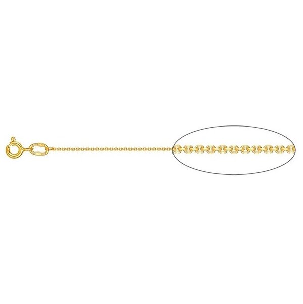 Золотая цепь без вставок